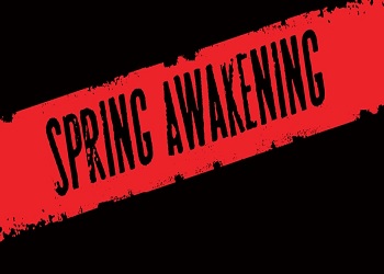 Spring Awakening Chicago Tickets